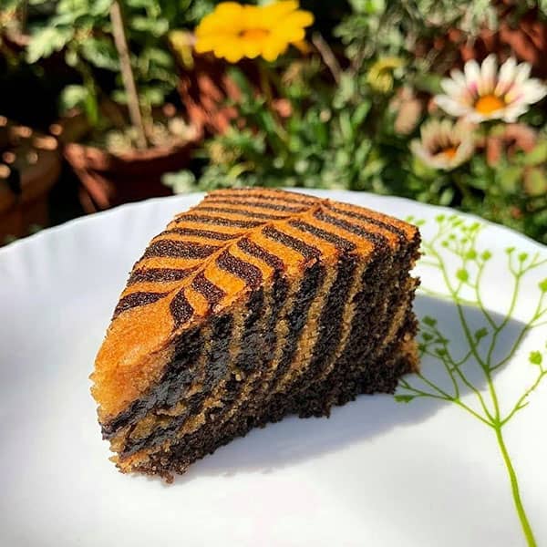 طرز تهیه کیک زبرا
