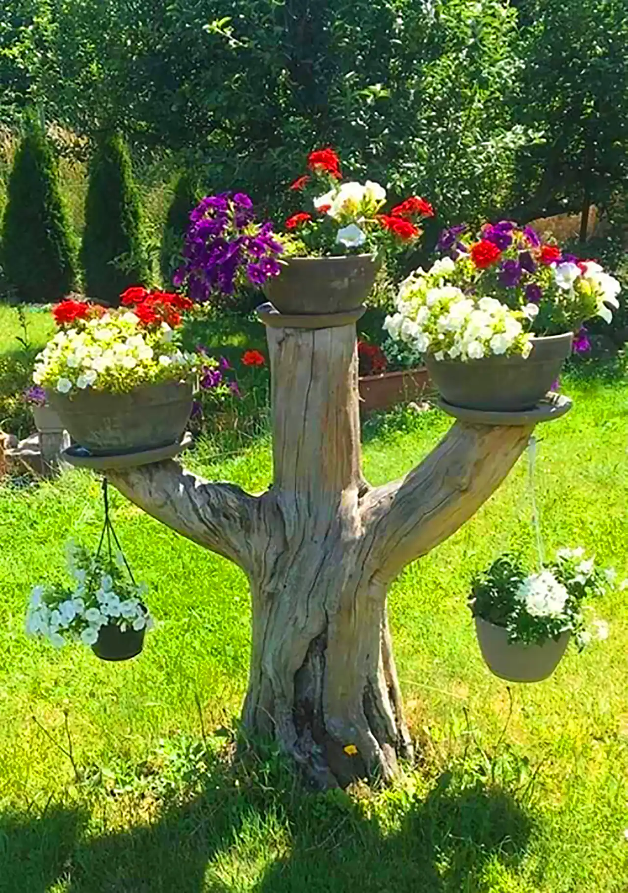 دکور باغچه طبیعی و خلاقانه 